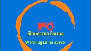 Sloneczna Farma w Portugali. Live nr 4