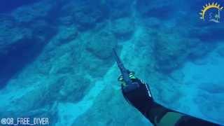 A Kuwaiti spear fisher fights back a shark attack  غواص كويتي يهاجم قرش