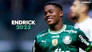 Endrick 2023 - Incredible Skills Goals & Assists  HD