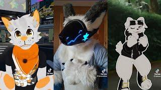 Furry Tiktok Memes That Made My Week