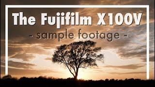 Sample Video with the Fujifilm X100V
