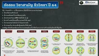 เฉลยข้อสอบ 9วิชาสามัญ ปี 64 ข้อ 12  ไมโอซิส