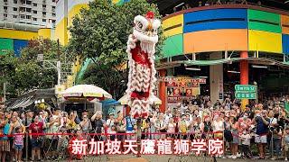 Lion Dance Traditional Performance   Chinatown   Dragon Boat Festival 2024  9 Jun 2024