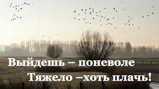  Афанасий Фет. Ласточки пропали  Стихи о природе поэтов 19 века