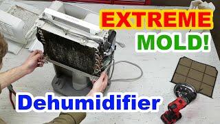 Moldy Dehumidifier Coils - Clogged with Dirt Hair Mold and Slime