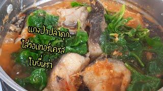 แกงป่าปลาดุกใส่วอเตอร์เครส ใบยี่หร่า# กินกับปู