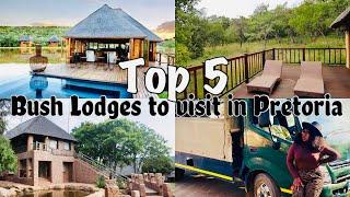 Top 5 Bush lodges to visit in Pretoria   Bush gateway  Game drive  South African YouTuber