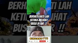 Jangan pernah meremehkan Busa di air yang tenang   #shorts #fun #reaction