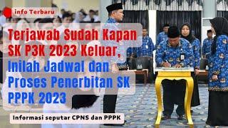 Terjawab Sudah Kapan SK P3K 2023 Keluar Inilah Jadwal dan Proses Penerbitan SK PPPK 2023