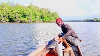 monster baramundi bertubi-tubi menarik pancingku.