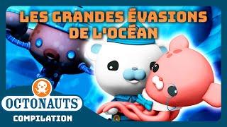 Octonauts -  Les grandes évasions de locéan   Compilation  Dessins animés pour enfants