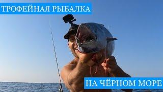 В погоне за ПЕЛАМИДОЙ Спортивная рыбалка на черноморского трофейного хищника Нырялка за рапанами