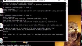 Error 1045 Accesd danied for user root@localhost using passwordYES en cmd  Resuelto