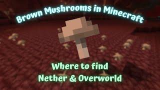 Brown Mushrooms in Minecraft