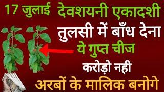 17 जुलाई देवशयनी एकादशी के दिन तुलसी में बांध दें 1 गुप्त चीज 1 महीने में बनोगे करोड़पति #ekadashi