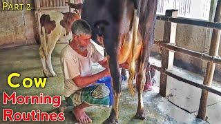 Cow Milking by Grandpas Hand Village Life Morning Routines  Cow Milking