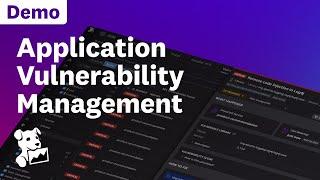 Application Vulnerability Management Demo