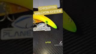 chiquitita di Halcyon System lesca a forma di banana