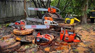 Massive Vintage Chainsaw Haul - Pioneer Farmsaw Homelite XL-12 McCulloch 10-10 Stihl Echo 650EVL