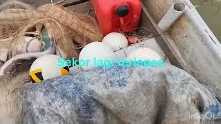 Rezeki menjala di sungai pahangrepeat tempat lapang jala pecah ada jugak sudi ikut balik rumah