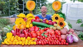 Incredible Organic Gardening Harvest This is What I Harvested Today