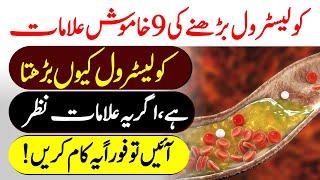 9 Signs Symptoms And Causes Of Cholesterol  Urdu Hindi  Urdu Lab