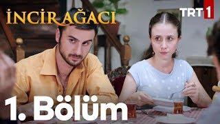 İncir Ağacı 1. Bölüm