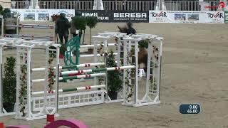 Davenport VDL  clear round at 1.40m  CSI Munster 2019