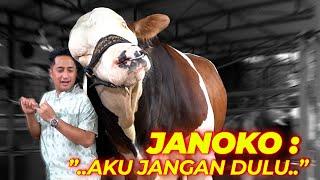 AKHIRNYA TAHU ISI HATI PARA SAPI GW.. ALHAMDULILLAH IKHLAS YA MOO..  