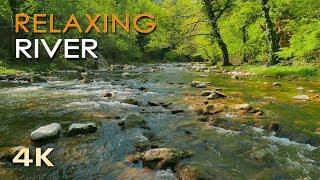 4K Relaxing River - Ultra HD Nature Video -  Water Stream & Birdsong Sounds - SleepStudyMeditate