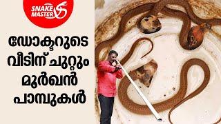 ഡോക്ടറുടെ വീടിന് ചുറ്റും മൂർഖൻ പാമ്പുകൾ  Vava Suresh  Snakemaster EP 1003