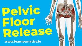 Ease Pelvic Floor Tension with Somatics