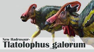 New Hadrosaur- Tlatolophus galorum