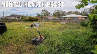 FRONT GUTTER TO BACK FENCE RESTORATION FINALE- FREE OVERGROWN YARD CLEAN UP- PART FOUR