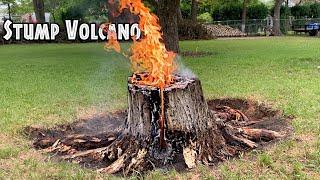 Stump VolcanoUsing Cooking Oil