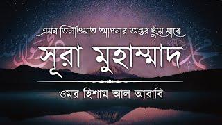 সূরা মুহাম্মাদ سورة محمد এর অন্তর জুড়ানো তিলাওয়াত ┋ Surah Muhammad recited by Omar Hisham Al Arabi