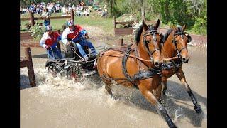 THE LAURELS AT LANDHOPE •  COMBINED DRIVING EVENT CDE