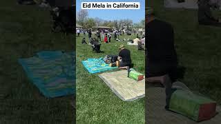 Muslim community eid mela in California #2023 #california #blessed #eidmela #eid