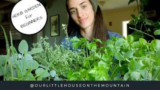 HERB GARDENS BEGINNERS GUIDE  HOW TO  GARDEN BASICS