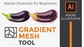 Adobe Illustrator How to use the gradient mesh tool for beginners