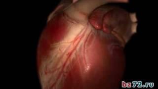 Коронарные артерии. Медицинская анимация