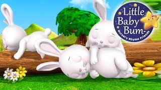Sleeping Bunnies  Nursery Rhymes for Babies by LittleBabyBum - ABCs and 123s