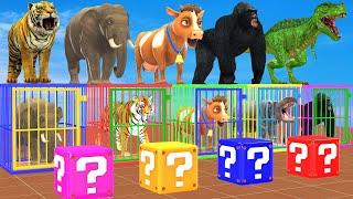 Dont Jump On WRONG BOX Challenge With Elephant Cow Tiger Gorilla Escape Room Challenge Cage Game