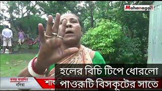 জামায়ের হলের বিচি টিপে ধোরলো পাওরূটি বিসকূটের সাতে Full video