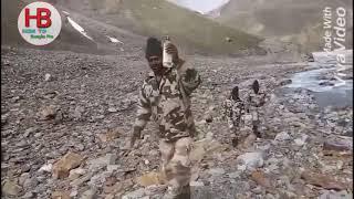 ITBP Himveer Duty