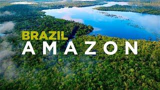 AMAZON BRAZIL Piranhas monkeys and DOLPHINS in Worlds Best Jungle