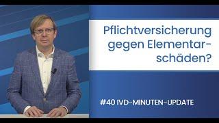 Das IVD-Minuten-Update zum Thema Pflichtversicherung gegen Elementarschäden