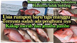 MANCING PERDANA IKAN KAKAP DI RUMPON BARU-RUMPON BAMBU KAYU KEDONDONG HASIL NYA TIDAK BOHONG#P1000