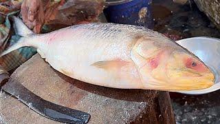 3 Kg Size Big Hilsa Fish Cutting In Fish Market Bangladesh  Fish Cutting Skills