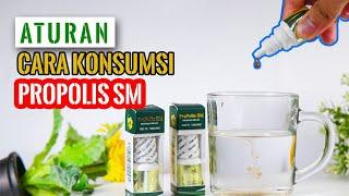 Aturan dan Cara Konsumsi Propolis SM Brazil